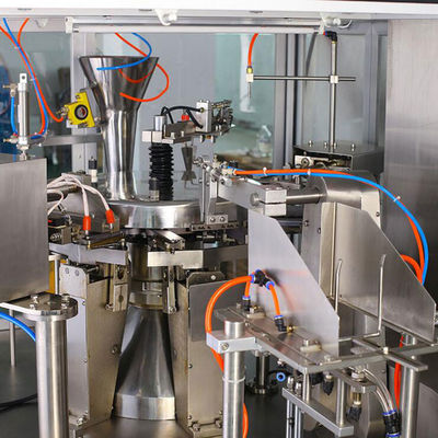 Pet Food 2kg Automatic Weighing And Filling Machine