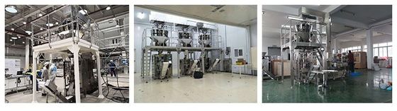 SUS304 Food Grade Conveyor