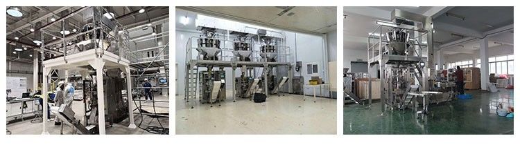 SUS304 Food Grade Conveyor